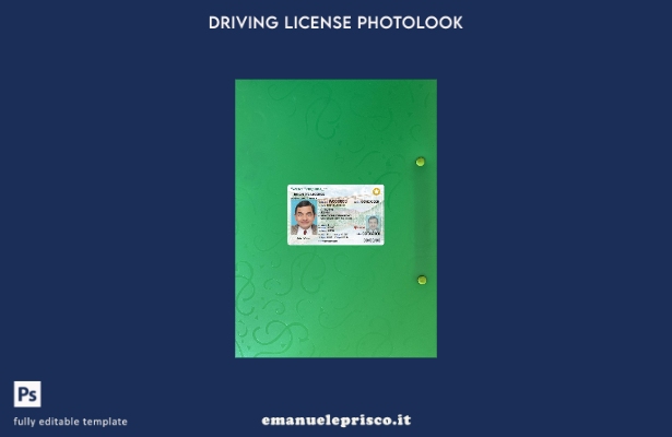 stile verificato modello anteriore presente con foto della patente di guida USA 